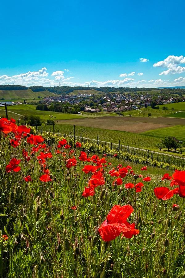 Pflaumers Ferienwohnung Eppingen Luaran gambar
